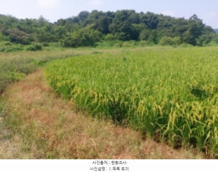 2024타경3683 충청남도 당진시 송악읍 가학리 123 농지 경매 이미지