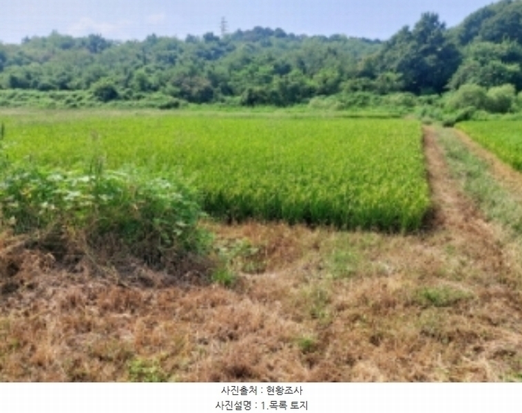 2024타경3683 충청남도 당진시 송악읍 가학리 123 농지 경매 이미지
