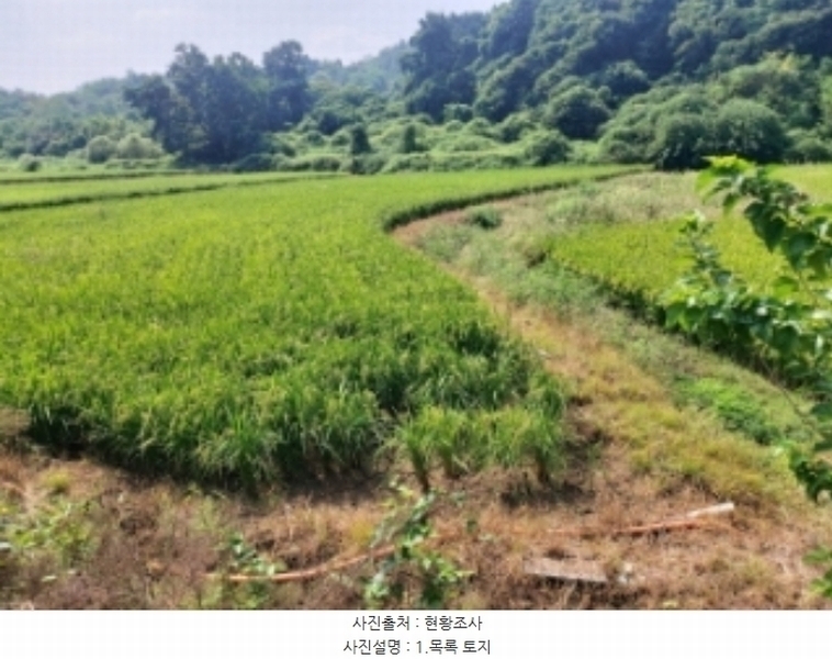 2024타경3683 충청남도 당진시 송악읍 가학리 123 농지 경매 이미지