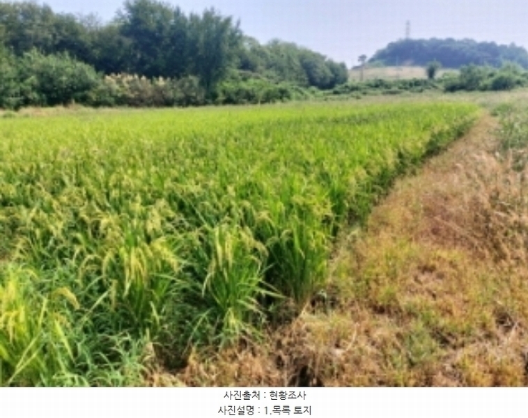 2024타경3683 충청남도 당진시 송악읍 가학리 123 농지 경매 이미지
