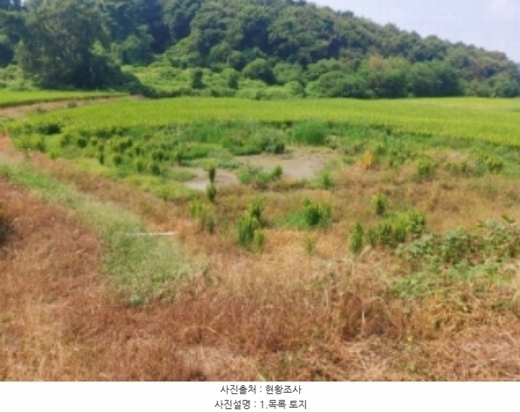 2024타경3683 충청남도 당진시 송악읍 가학리 123 농지 경매 이미지