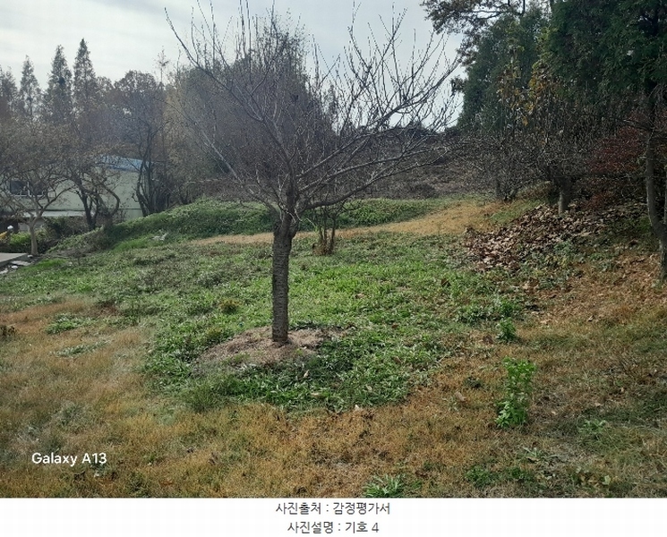 2024타경4273 충청남도 당진시 고대면 성산리 407-1 임야 경매 이미지