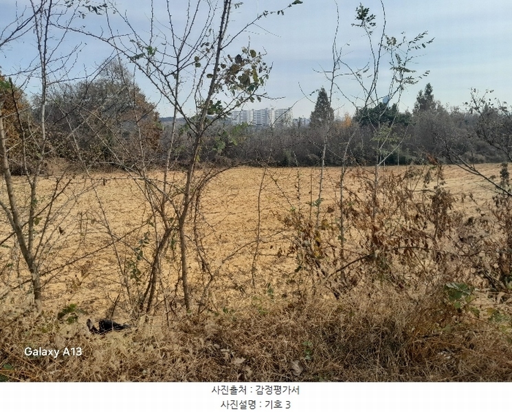 2024타경4273 충청남도 당진시 고대면 성산리 407-1 임야 경매 이미지