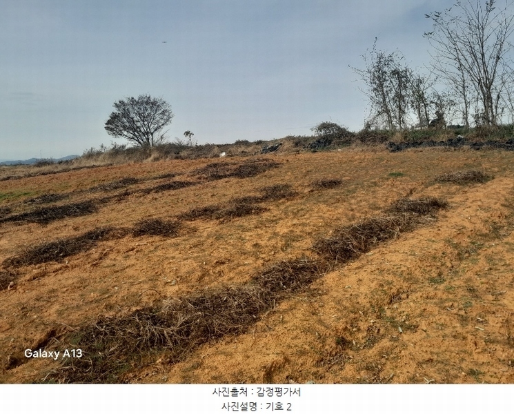2024타경4273 충청남도 당진시 고대면 성산리 407-1 임야 경매 이미지