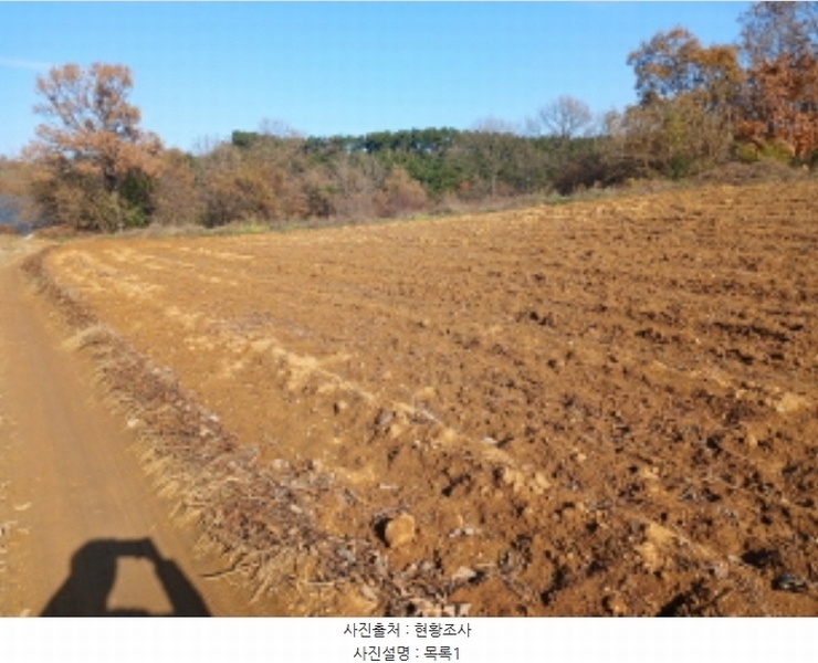 2024타경4273 충청남도 당진시 고대면 성산리 407-1 임야 경매 이미지