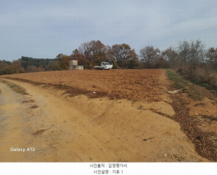 2024타경4273 충청남도 당진시 고대면 성산리 407-1 임야 경매 이미지
