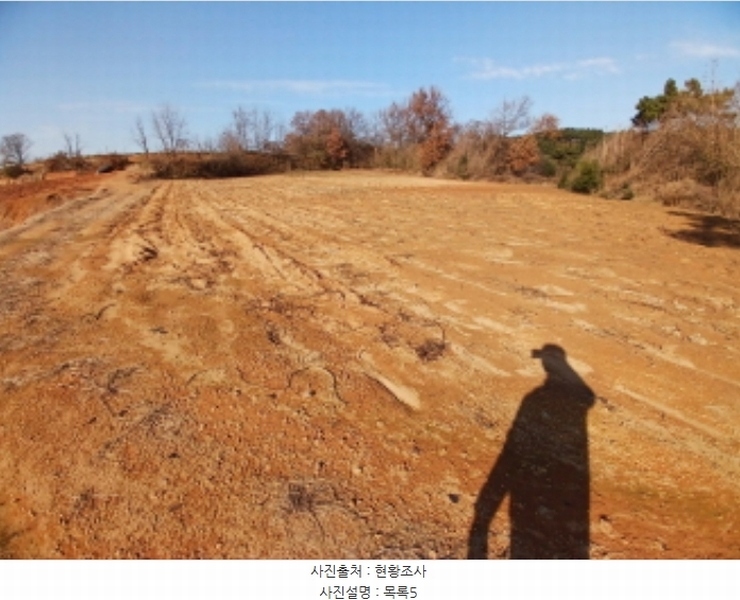 2024타경4273 충청남도 당진시 고대면 성산리 407-1 임야 경매 이미지