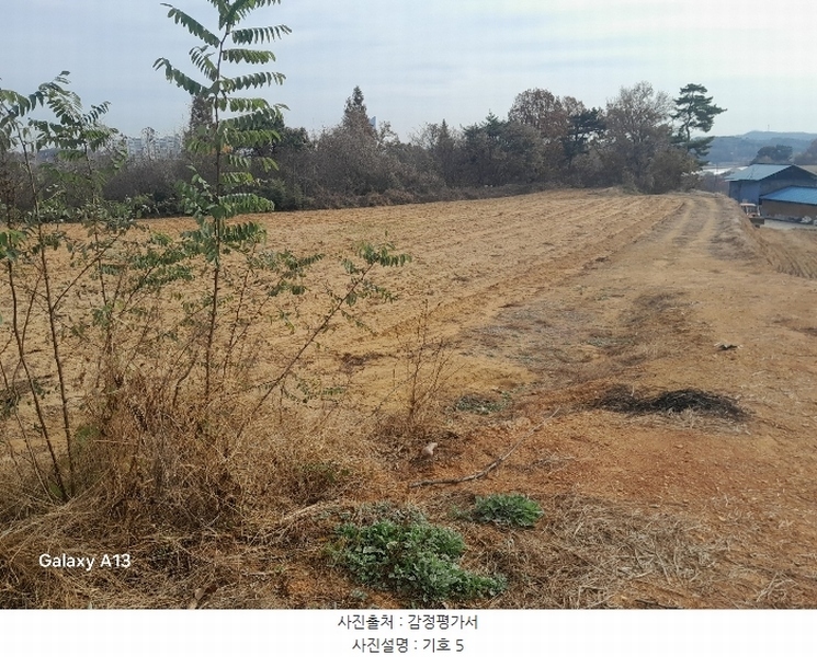 2024타경4273 충청남도 당진시 고대면 성산리 407-1 임야 경매 이미지