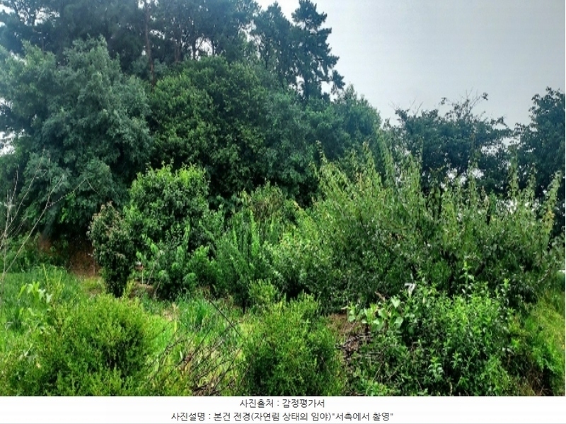 2024타경55592 충청남도 당진시 송악읍 부곡리 186-60 임야 경매 이미지
