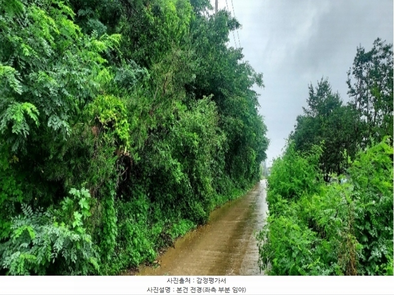 2024타경55592 충청남도 당진시 송악읍 부곡리 186-60 임야 경매 이미지