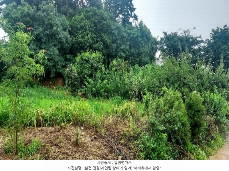 2024타경55592 충청남도 당진시 송악읍 부곡리 186-60 임야 경매 이미지