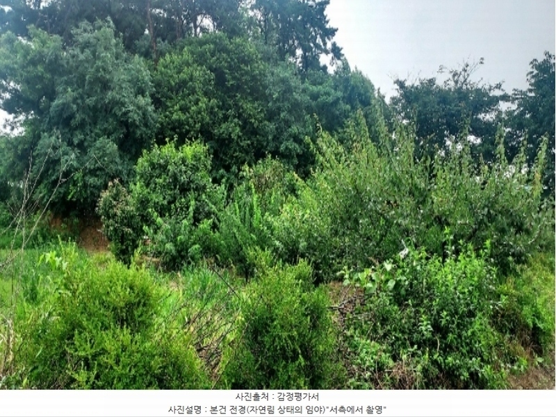2024타경55592 충청남도 당진시 송악읍 부곡리 186-60 임야 경매 이미지