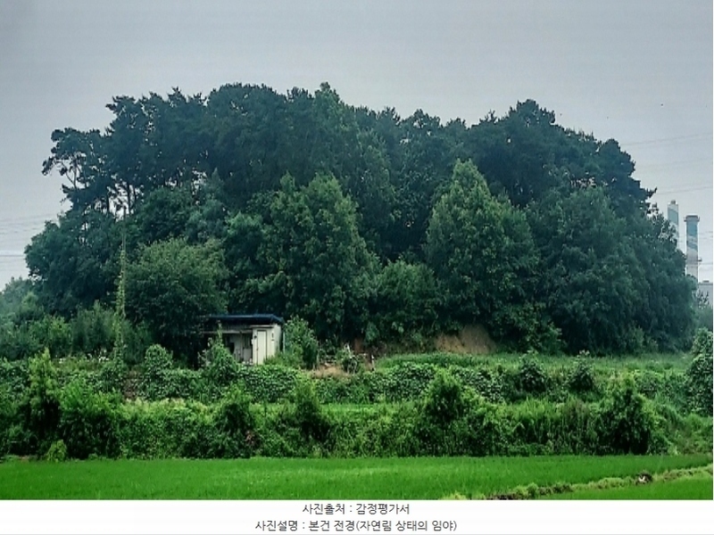 2024타경55592 충청남도 당진시 송악읍 부곡리 186-60 임야 경매 이미지