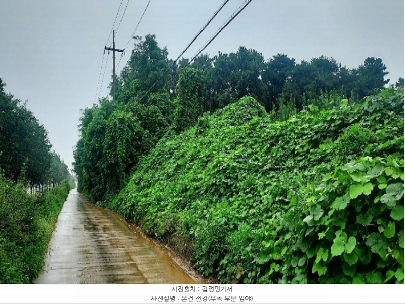 2024타경55592 충청남도 당진시 송악읍 부곡리 186-60 임야 경매 이미지