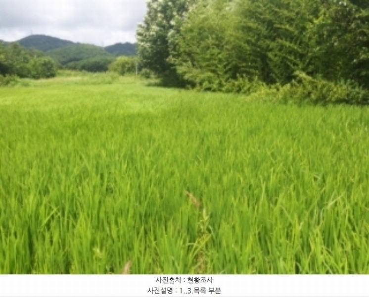 2024타경56359 충청남도 당진시 순성면 양유리 714-2 농지 경매 이미지