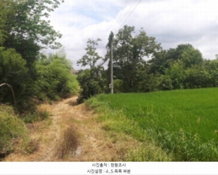2024타경56359 충청남도 당진시 순성면 양유리 714-2 농지 경매 이미지