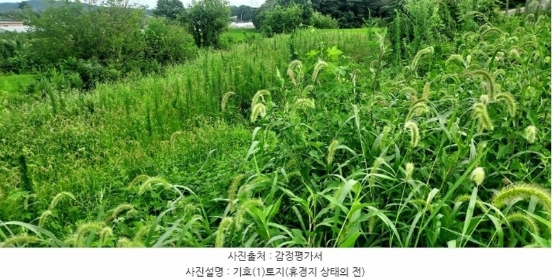 2024타경56359 충청남도 당진시 순성면 양유리 714-2 농지 경매 이미지