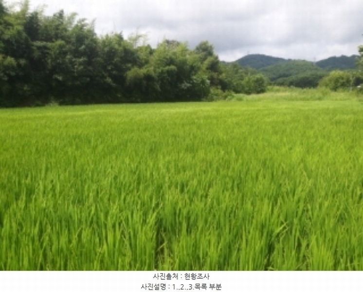 2024타경56359 충청남도 당진시 순성면 양유리 714-2 농지 경매 이미지