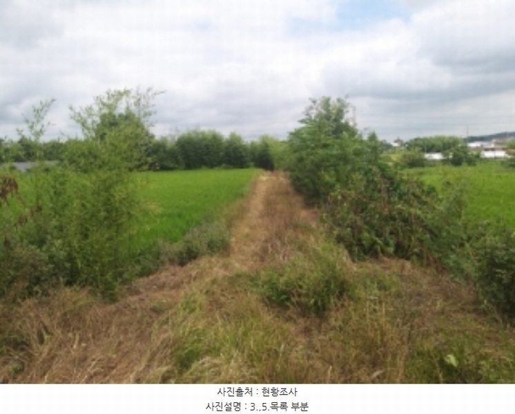 2024타경56359 충청남도 당진시 순성면 양유리 714-2 농지 경매 이미지