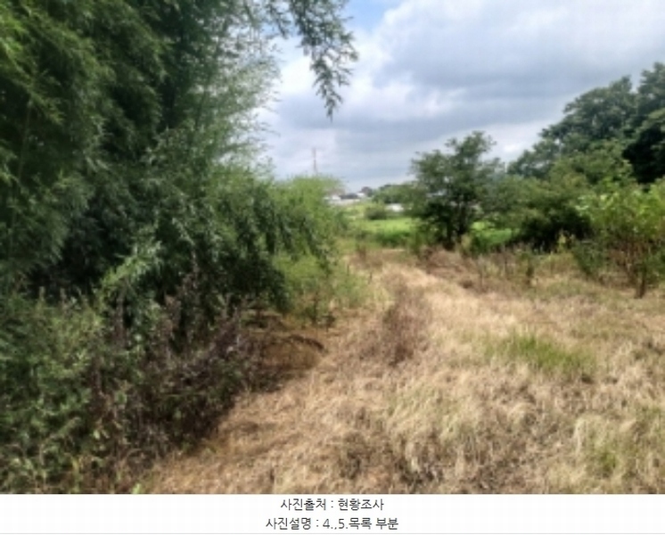 2024타경56359 충청남도 당진시 순성면 양유리 714-2 농지 경매 이미지