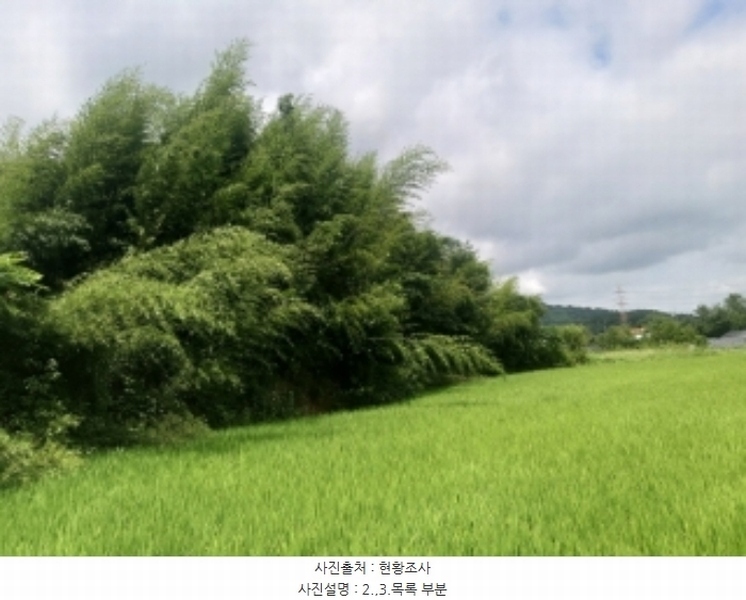 2024타경56359 충청남도 당진시 순성면 양유리 714-2 농지 경매 이미지