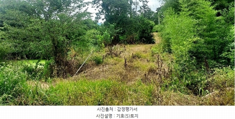 2024타경56359 충청남도 당진시 순성면 양유리 714-2 농지 경매 이미지