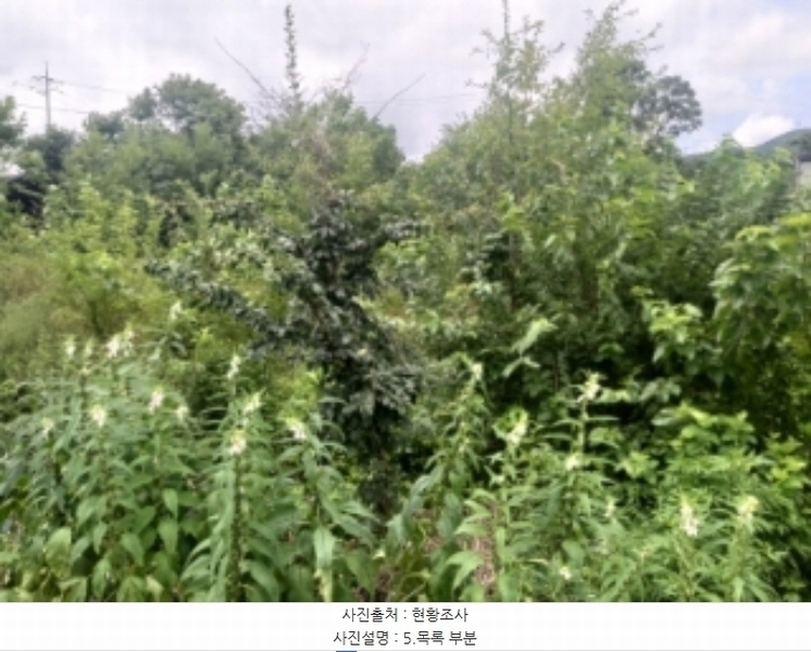 2024타경56359 충청남도 당진시 순성면 양유리 714-2 농지 경매 이미지