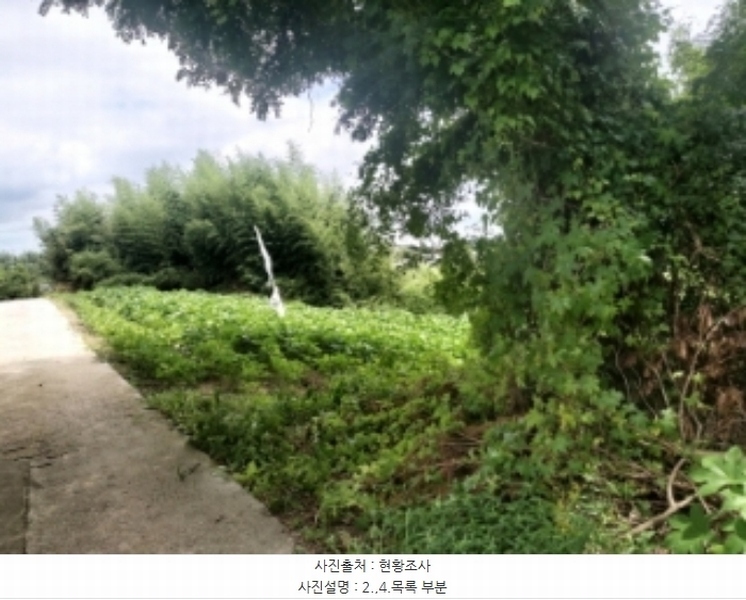 2024타경56359 충청남도 당진시 순성면 양유리 714-2 농지 경매 이미지
