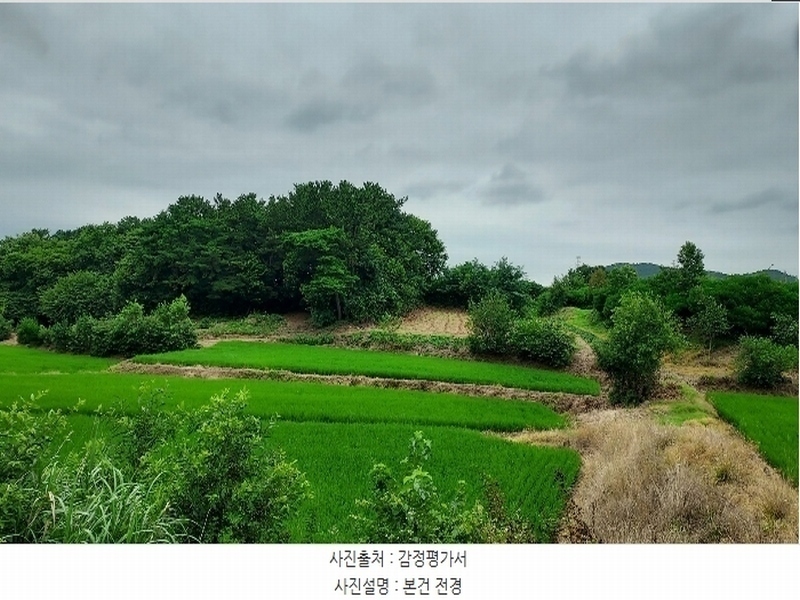 2024타경56380 충청남도 서산시 음암면 도당리 산17 임야 경매 이미지
