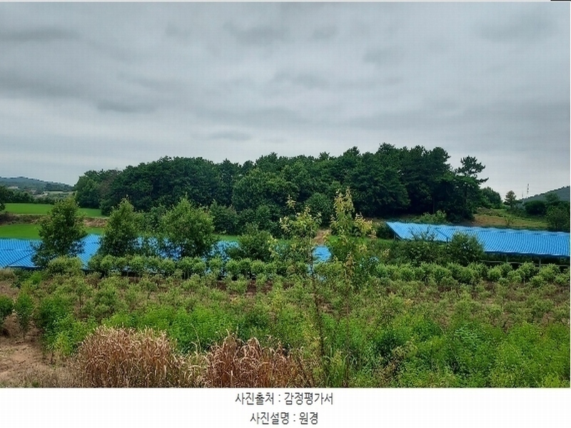 2024타경56380 충청남도 서산시 음암면 도당리 산17 임야 경매 이미지