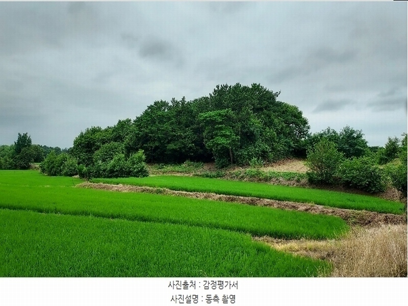 2024타경56380 충청남도 서산시 음암면 도당리 산17 임야 경매 이미지