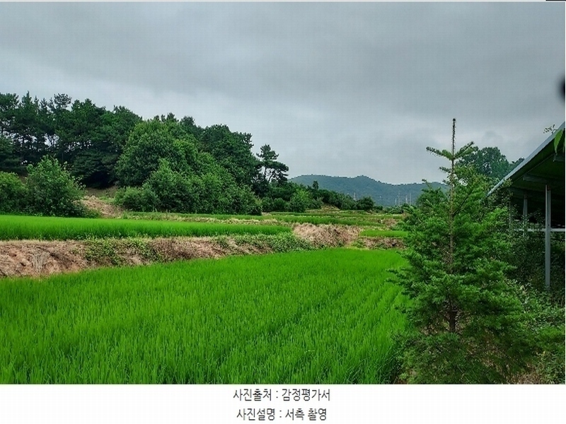 2024타경56380 충청남도 서산시 음암면 도당리 산17 임야 경매 이미지