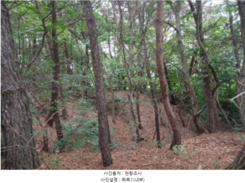 2024타경56380 충청남도 서산시 음암면 도당리 산17 임야 경매 이미지