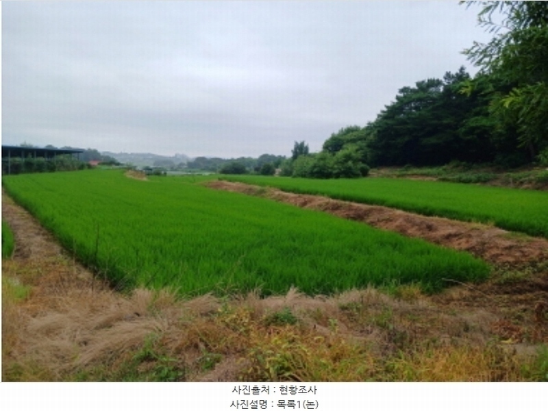 2024타경56380 충청남도 서산시 음암면 도당리 산17 임야 경매 이미지
