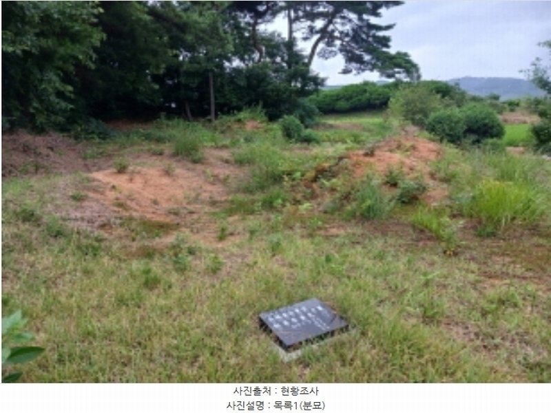 2024타경56380 충청남도 서산시 음암면 도당리 산17 임야 경매 이미지