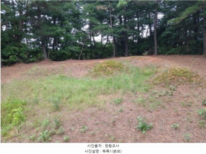 2024타경56380 충청남도 서산시 음암면 도당리 산17 임야 경매 이미지