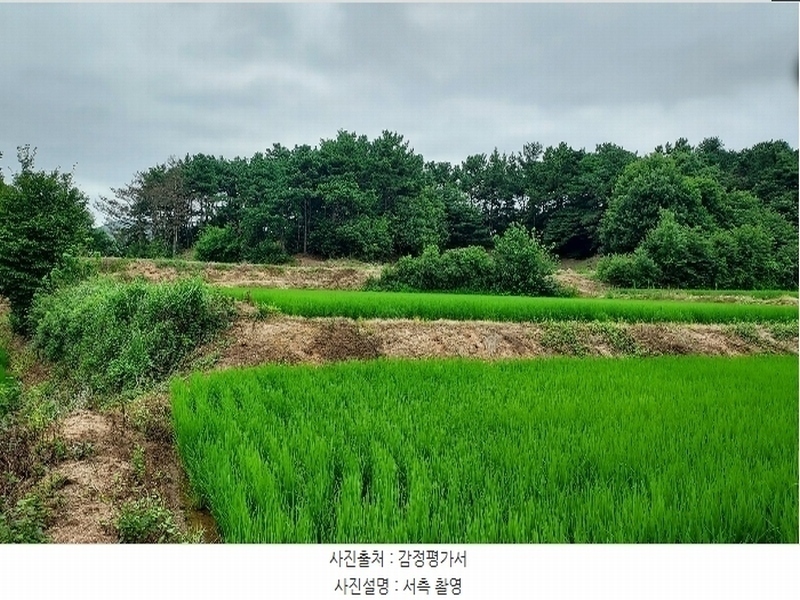 2024타경56380 충청남도 서산시 음암면 도당리 산17 임야 경매 이미지