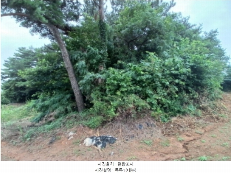 2024타경56380 충청남도 서산시 음암면 도당리 산17 임야 경매 이미지