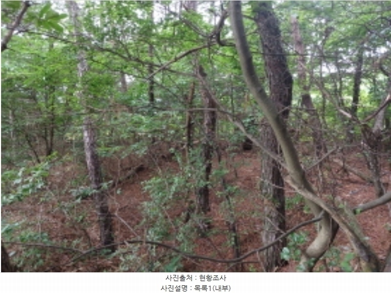 2024타경56380 충청남도 서산시 음암면 도당리 산17 임야 경매 이미지