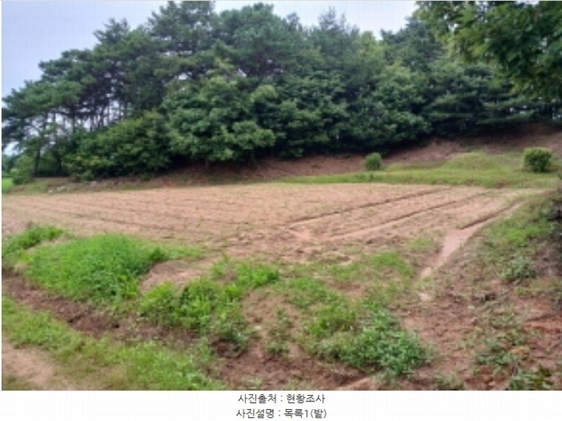 2024타경56380 충청남도 서산시 음암면 도당리 산17 임야 경매 이미지