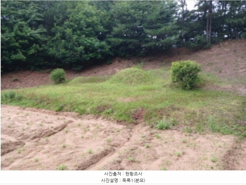 2024타경56380 충청남도 서산시 음암면 도당리 산17 임야 경매 이미지
