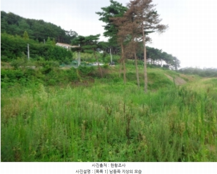 2024타경56687 충청남도 서산시 인지면 차리 190-26 임야 경매 이미지