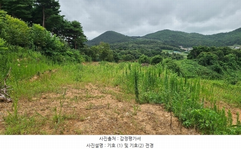 2024타경56687 충청남도 서산시 인지면 차리 190-26 임야 경매 이미지