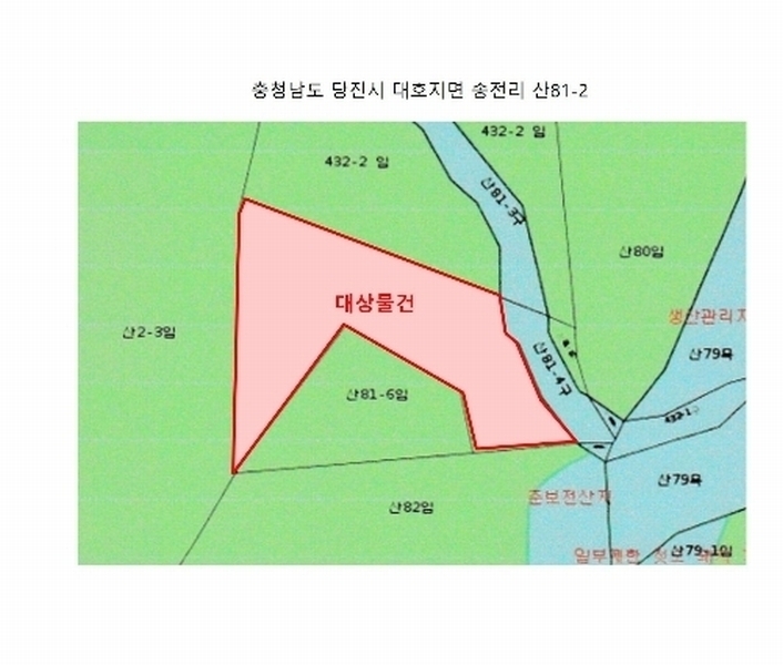 2024타경57369 충청남도 당진시 대호지면 송전리 산81-2 임야 경매 이미지