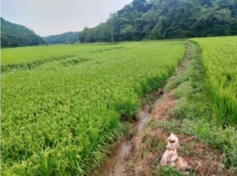 2024타경57734 충청남도 당진시 순성면 갈산리 28-4 농지 경매 이미지