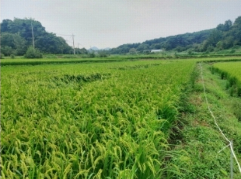 2024타경57734 충청남도 당진시 순성면 갈산리 28-4 농지 경매 이미지