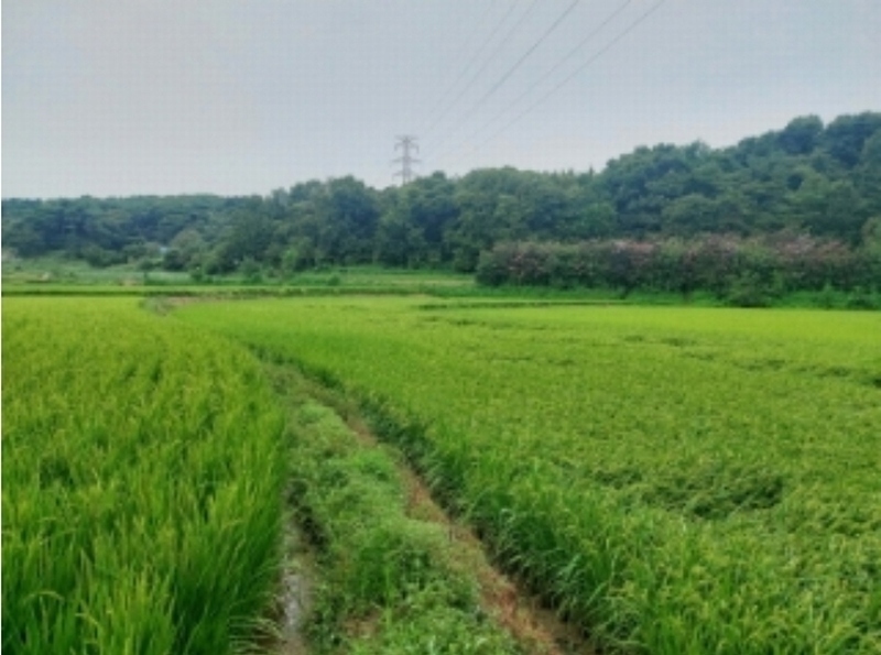 2024타경57734 충청남도 당진시 순성면 갈산리 28-4 농지 경매 이미지