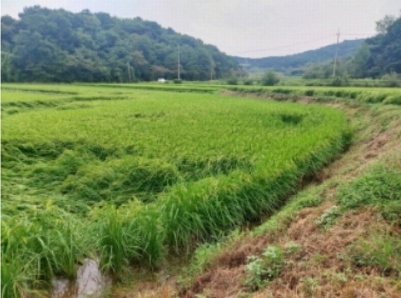 2024타경57734 충청남도 당진시 순성면 갈산리 28-4 농지 경매 이미지