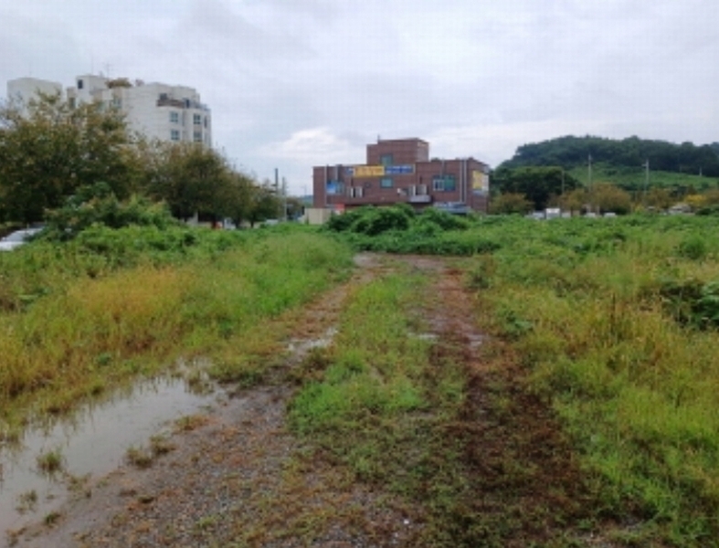 2024타경58256 충청남도 서산시 성연면 오사리 1652 대지 경매 이미지