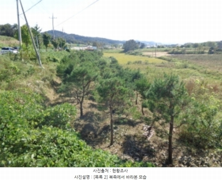 2024타경58324 충청남도 서산시 부석면 봉락리 115-5 농지 경매 이미지